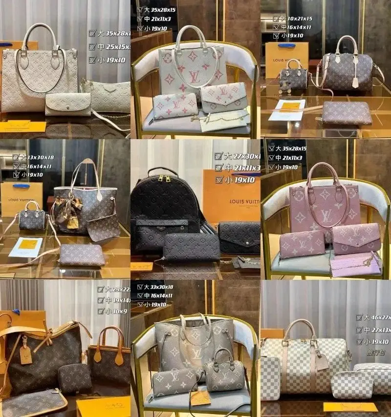 Louis Vuitton Monogram/ Damier / Epi Leather Handbags [1 style]